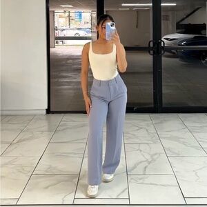 Aritzia Author Pant Trousers